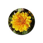 Fh 009 Fran Hoffpauir   A Dew Covered Mum Rubber Round Coaster (4 pack)