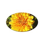 Fh 009 Fran Hoffpauir   A Dew Covered Mum Sticker (Oval)