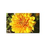 Fh 009 Fran Hoffpauir   A Dew Covered Mum Sticker (Rectangular)