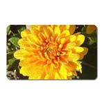 Fh 009 Fran Hoffpauir   A Dew Covered Mum Magnet (Rectangular)
