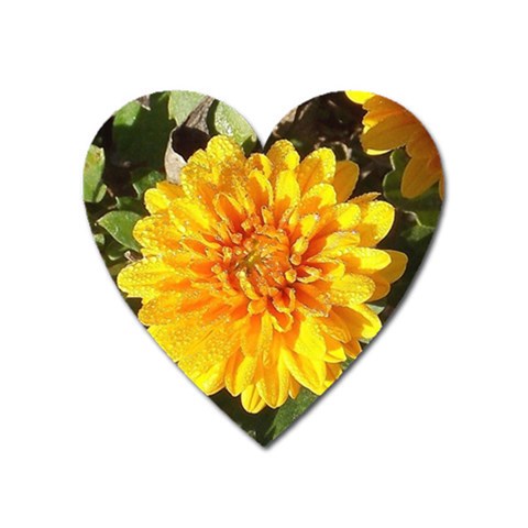 Fh 009 Fran Hoffpauir   A Dew Covered Mum Magnet (Heart) from ArtsNow.com Front