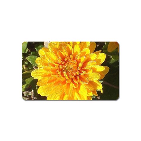 Fh 009 Fran Hoffpauir   A Dew Covered Mum Magnet (Name Card) from ArtsNow.com Front