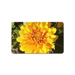 Fh 009 Fran Hoffpauir   A Dew Covered Mum Magnet (Name Card)