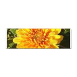 Fh 009 Fran Hoffpauir   A Dew Covered Mum Sticker Bumper (100 pack)