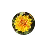 Fh 009 Fran Hoffpauir   A Dew Covered Mum Golf Ball Marker