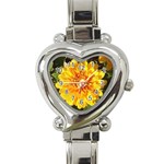 Fh 009 Fran Hoffpauir   A Dew Covered Mum Heart Italian Charm Watch