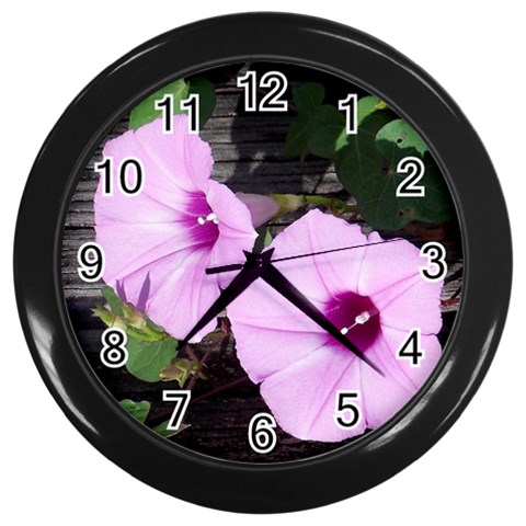 Morning Glories Front