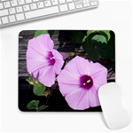 Morning Glories - FH 009 Fran Hoffpauir  - Large Mousepad