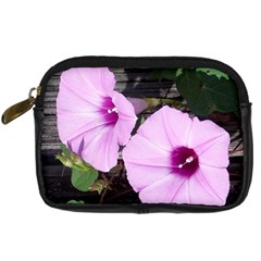 Morning Glories Front