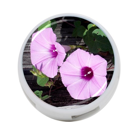 Morning Glories Front