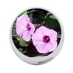 Morning Glories - FH 009 Fran Hoffpauir  - 4-Port USB Hub (One Side)