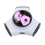 Morning Glories - FH 009 Fran Hoffpauir  - 3-Port USB Hub