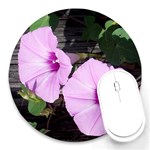 Morning Glories -Fran Hoffpauir - Round Mousepad