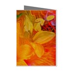 Flowers From My Heart To You   Sherri Nicholas   Mini Greeting Cards (Pkg of 8)