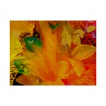 Flowers From My Heart To You   Sherri Nicholas   6  x 8  Desktop Photo Plaque 
