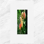 Peaches -  Fran Hoffpauir Canvas 40  x 72 
