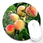 Peaches -  Fran Hoffpauir Round Mousepad