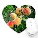 Peaches -  Fran Hoffpauir Mousepad (Heart)