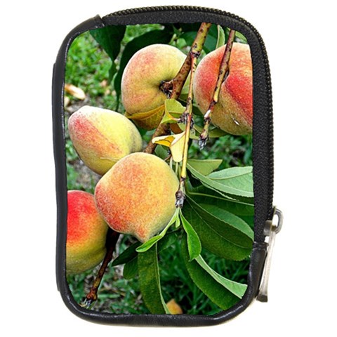 Peaches Front
