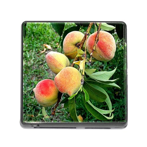 Peaches Front