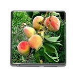 Peaches -  Fran Hoffpauir Memory Card Reader with Storage (Square)