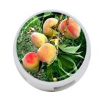 Peaches -  Fran Hoffpauir 4-Port USB Hub (One Side)