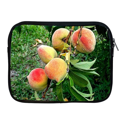 Peaches Front
