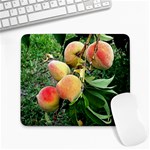 Peaches -  Fran Hoffpauir Large Mousepad