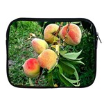 Peaches -  Fran Hoffpauir Apple iPad 2/3/4 Zipper Case
