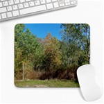 Trees At Edge Of The Woods   Fran Hoffpauir Large Mousepad
