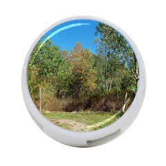 Trees At Edge Of The Woods   Fran Hoffpauir 4 Back