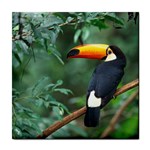 Toco Toucan Tile Coaster