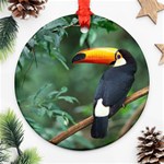 Toco Toucan Ornament (Round)
