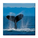 Humpback Whale Tile Coaster