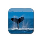 Humpback Whale Rubber Coaster (Square)