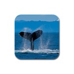 Humpback Whale Rubber Square Coaster (4 pack)
