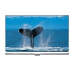 Humpback Whale Business Card Holder