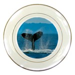 Humpback Whale Porcelain Plate
