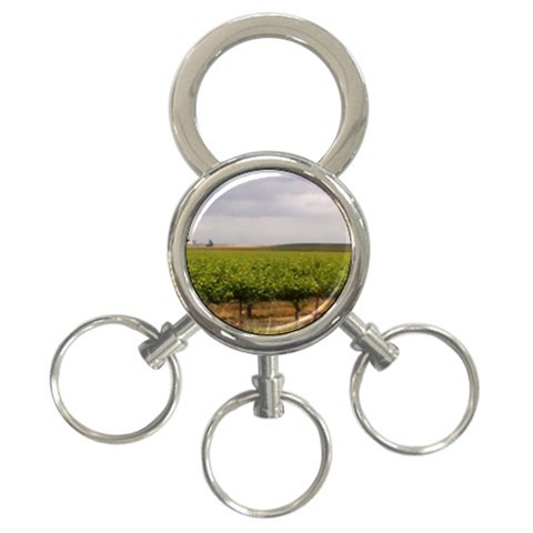Vinyard Beneath A Cloudy Sky 3 Front