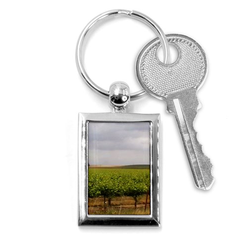 Vinyard Beneath A Cloudy Sky Key Chain (Rectangle) from ArtsNow.com Front