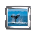 Humpback Whale Mega Link Italian Charm (18mm)