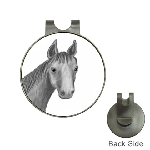 Horse Looking At You Front
