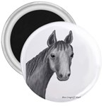 Ave Hurley   Horse Looking At You  3  Magnet