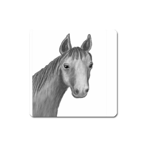 Ave Hurley   Horse Looking At You  Magnet (Square) from ArtsNow.com Front