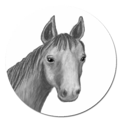 Horse Looking at You Front