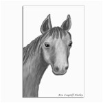 Ave Hurley   Horse Looking At You  Postcard 4 x 6  (Pkg of 10)
