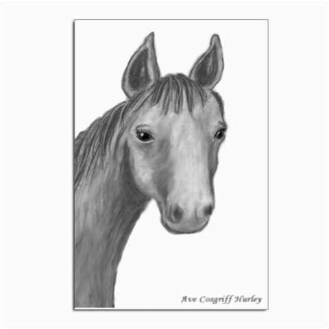 Ave Hurley   Horse Looking At You  Postcards 5  x 7  (Pkg of 10) from ArtsNow.com Front