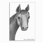 Ave Hurley   Horse Looking At You  Postcards 5  x 7  (Pkg of 10)