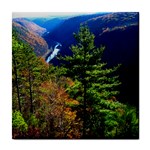 Pa Grand Canyon , South View by Ave Hurley -  Tile Coaster