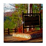 Leo Harrison St Pk  Path 8 Turkey Path Tile Coaster